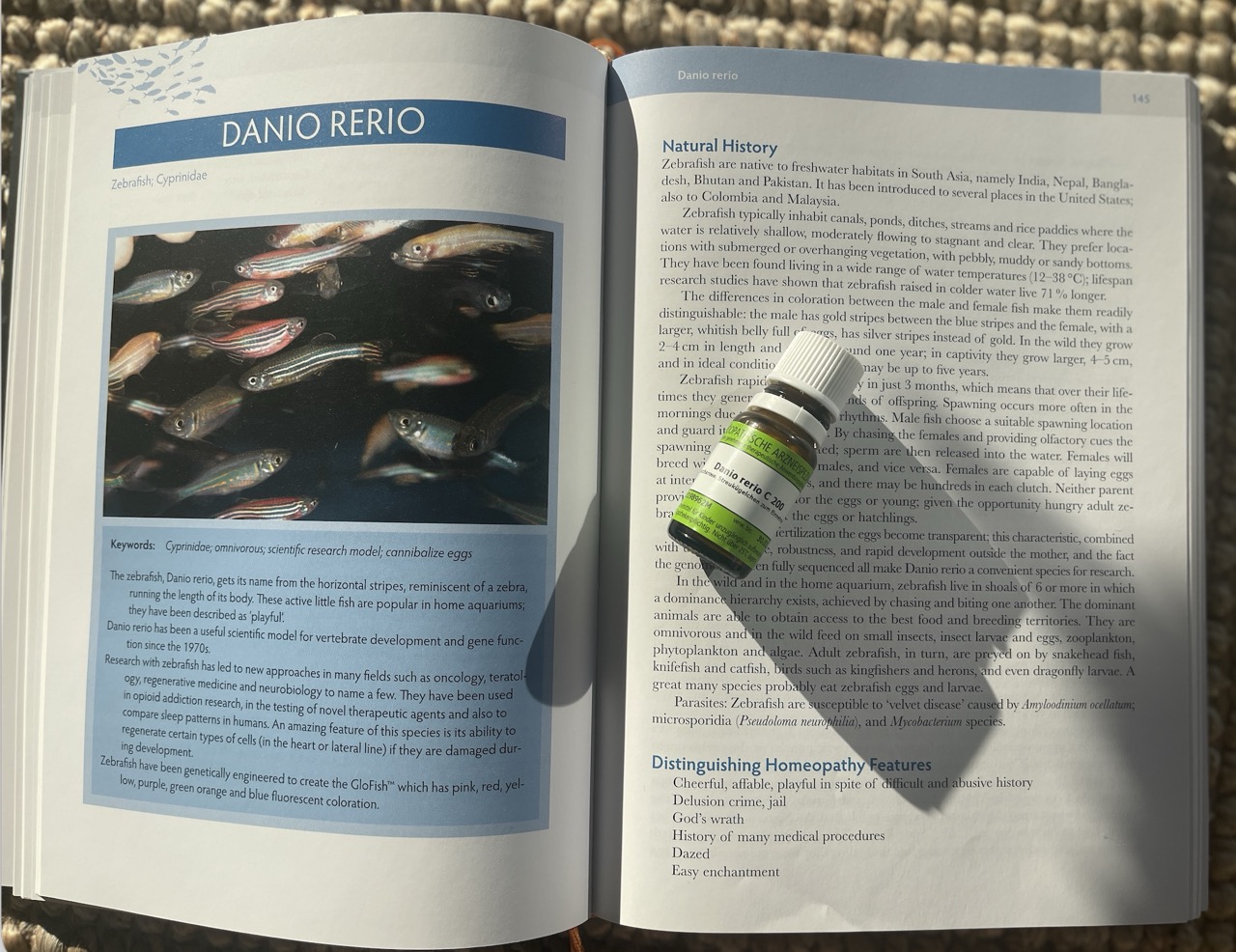 Zebrafish Danio rerio homeopathic remedy with book entry showing natural history and distinguishing homeopathy features